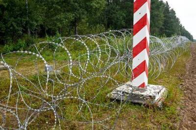 Белорусские пограничники сообщили о четырех избитых польскими силовиками курдских беженцах - argumenti.ru - Белоруссия - Польша