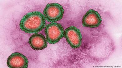 Ученые обнаружили у человека еще один совершенно новый коронавирус - rusjev.net - Гаити