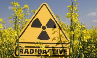 Российские ученые обнаружили, что радиация продлевает жизнь - bloknot.ru - Россия - республика Коми - Сыктывкар