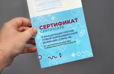 Михаил Мишустин - В МФЦ начнут выдавать бумажные сертификаты о вакцинации - rabochy-put.ru
