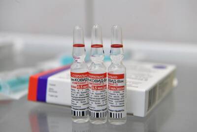 Александр Бречалов - 304 беременных женщины Удмуртии поставили прививку от коронавируса - gorodglazov.com - Россия - республика Удмуртия