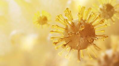 Ученые выяснили, сколько держится природный иммунитет от COVID-19 и мира - cursorinfo.co.il - Сша - штат Северная Каролина