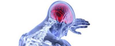 Nature Neuroscience: ковид разрушает кровеносные сосуды головного мозга - runews24.ru