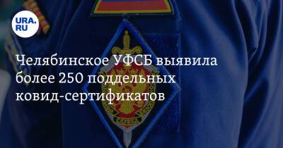 Челябинское УФСБ выявила более 250 поддельных ковид-сертификатов - ura.news - Челябинск