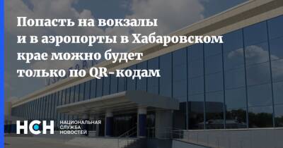 Евгений Никонов - Попасть на вокзалы и в аэропорты в Хабаровском крае можно будет только по QR-кодам - nsn.fm - Хабаровский край