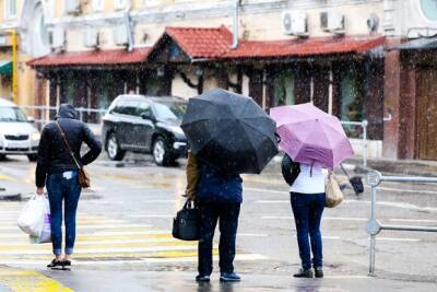 Евгений Тишковец - Метеоролог рассказал, когда в Москве закончится снег с дождем - yur-gazeta.ru - Москва