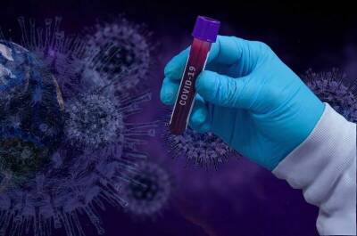 В России выявили 40 759 заболевших коронавирусом за сутки - pnp.ru - Россия - Санкт-Петербург - Москва - Московская обл.