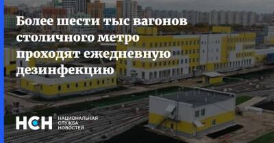 Более шести тыс вагонов столичного метро проходят ежедневную дезинфекцию - nsn.fm - Россия - Сергей