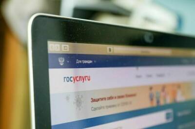 В Минцифры сообщили о рекордной атаке на портал госуслуг - pnp.ru