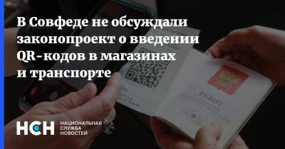 Инна Святенко - В Совфеде не обсуждали законопроект о введении QR-кодов в магазинах и транспорте - nsn.fm - Россия