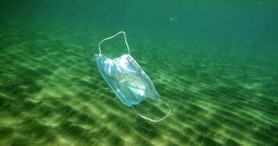 В мировой океан попало 26 тыс. тонн масок и других пластиковых медицинских отходов, – ученые - focus.ua - Украина