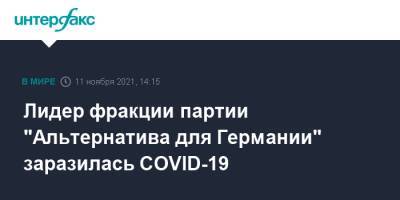 Лидер фракции партии "Альтернатива для Германии" заразилась COVID-19 - interfax.ru - Москва - Германия