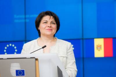 Наталья Гаврилица - «Я всем довольна»: премьер Молдавии представила отчет о работе правительства - eadaily.com - Молдавия
