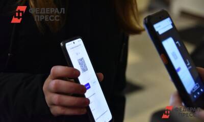 Экономист объяснил, при каких условиях введение QR-кодов в России могут отменить - fedpress.ru - Россия - Москва