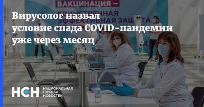 Александр Шестопалов - Вирусолог назвал условие спада COVID-пандемии уже через месяц - nsn.fm - Россия