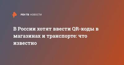 В России хотят ввести QR-коды в магазинах и транспорте: что известно - ren.tv - Россия - Москва