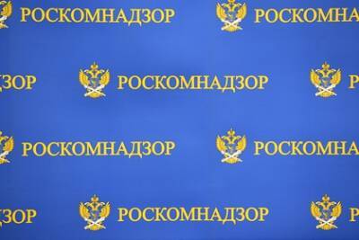 Роскомнадзор ограничил доступ к почти трем тысячам фейковых материалов - lenta.ru