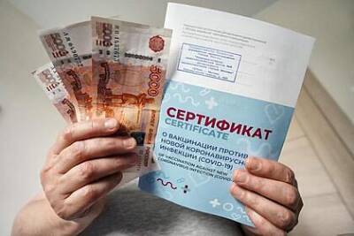 Произошла утечка данных полумиллиона покупателей фальшивых справок о вакцинации - lenta.ru