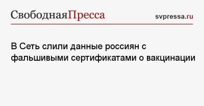 В Сеть слили данные россиян с фальшивыми сертификатами о вакцинации - svpressa.ru - Россия