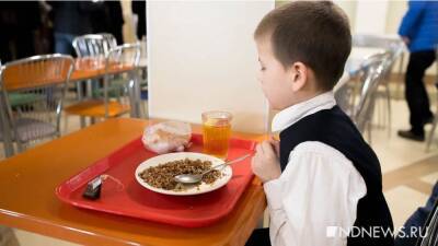 На Ямале готовят отдельное меню для школьников с аллергией и диабетом - newdaynews.ru - Новосибирск