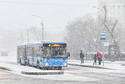 Москвичей попросили пересесть на общественный транспорт из-за снегопада - yur-gazeta.ru