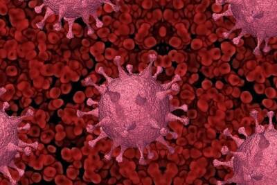 В Чувашии за сутки выявили 178 заболевших коронавирусом, умерли 16 человек - cheb.mk.ru - республика Чувашия