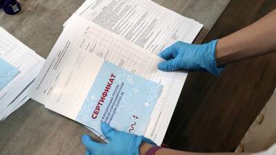 Татьяна Голикова - Голикова сравнила сертификат вакцинации от коронавируса с паспортом - iz.ru - Россия - Израиль