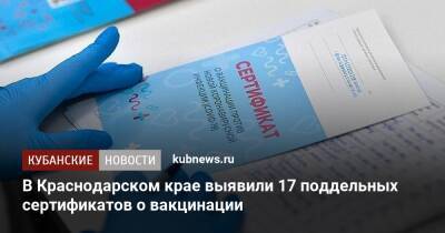 В Краснодарском крае выявили 17 поддельных сертификатов о вакцинации - kubnews.ru - Россия - Краснодарский край