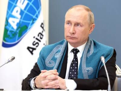 Владимир Путин - Путин на онлайн-саммите АТЭС выступил в новозеландской накидке и призвал не ущемлять ВОЗ - rosbalt.ru - Россия