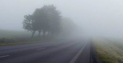 Синоптики прогнозируют туман в Запорожье видимостью в 200-500 м - inform.zp.ua - Украина - Запорожье - Запорожская обл.