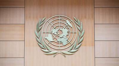 Представителя РФ переизбрали в Комиссию международного права ООН - iz.ru - Россия - Израиль