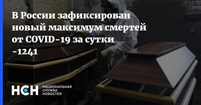 В России зафиксирован новый максимум смертей от COVID-19 за сутки -1241 - nsn.fm - Россия