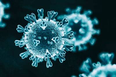 Количество зараженных коронавирусом в Смоленской области превысило 70 тысяч человек - rabochy-put.ru - Смоленская обл.