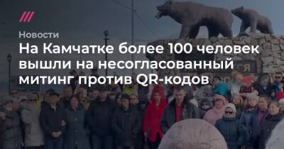 На Камчатке более 100 человек вышли на несогласованный митинг против QR-кодов - tvrain.ru - Россия - Ссср