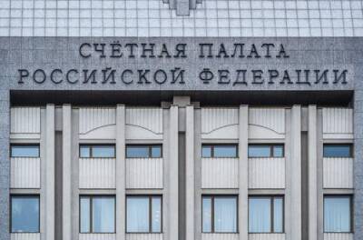 Аудитор Счетной палаты Саватюгин заявил, что российский госдолг в ближайшие годы будет расти - argumenti.ru - Россия