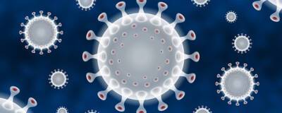 Вирус SARS-CoV-2 проникает в клетки при помощи сахара - runews24.ru - Канада