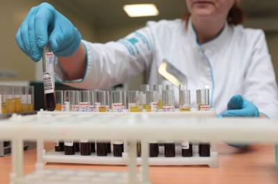 Китайцы выявили коронавирус на переданных из России печеньках - neva.today - Россия - Санкт-Петербург - Китай - Хэйхэ