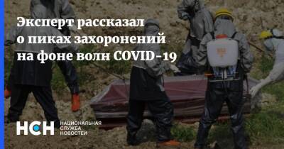 Артем Екимов - Эксперт рассказал о пиках захоронений на фоне волн COVID-19 - nsn.fm - Москва