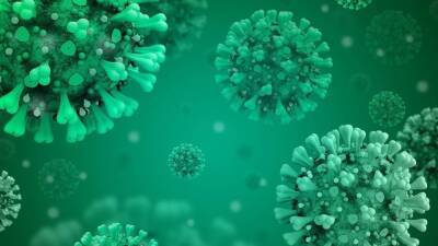 Инфекционист Жемчугов заявил о трех сценариях развития коронавирусной инфекции - inforeactor.ru