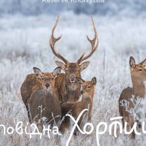 Запорожский фотохудожник представит календарь со снимками Хортицы - reporter-ua.com - Запорожье