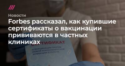 Forbes рассказал, как купившие сертификаты о вакцинации прививаются в частных клиниках - tvrain.ru - Москва