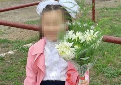 В Хакасии семья восьмилетней девочки обвиняет врачей в ее смерти - ya62.ru - республика Хакасия - Абакан
