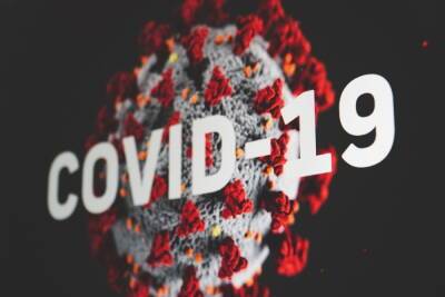 Шведские ученые выяснили, сколько длится иммунитет после легкого COVID-19 - mk.ru - Швеция