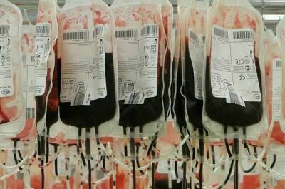 Светлана Стригункова - Почти 60 тонн донорской крови заготовили в Подмосковье с начала года - pnp.ru - Московская обл.