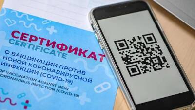 Зачем нужны законы о QR-кодах на федеральном уровне - vm.ru - Россия - Москва