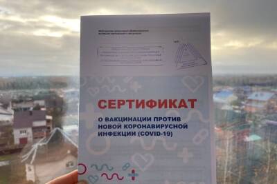 Как пожилые петербуржцы могут получить бумажные QR-коды о вакцинации - spb.mk.ru