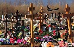 Сколько же за год в России появилось новых гробов и крематориев? - newsland.com - Россия - Москва