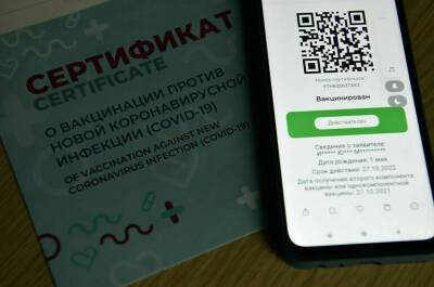 Михаил Мишустин - Бумажные сертификаты о вакцинации от ковид будут выдавать в МФЦ - pnp.ru