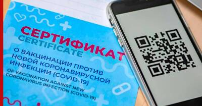 СМИ: к QR-кодам о вакцинации могут добавить фото владельцев - profile.ru