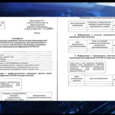 Михаил Мишустин - Бумажную версию сертификата о вакцинации можно получить в МФЦ с 16 ноября - radiomayak.ru